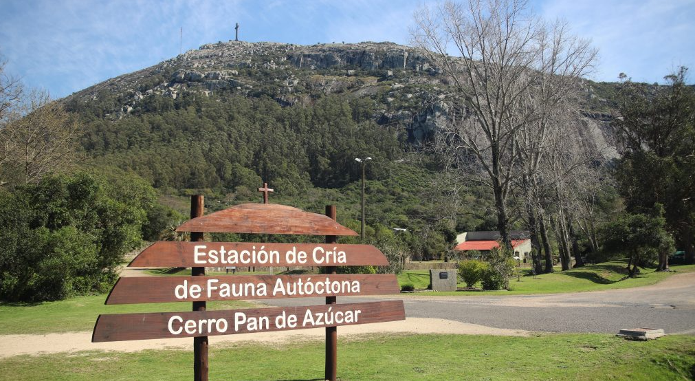 Reserva de Fauna Cerro Pan de Azúcar, Near Piriápolis, Uruguay